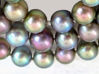 Still Pearls: the 'Cortez'